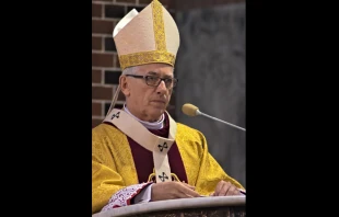 Archbishop Wiktor Skworc of Katowice, Poland. Adrian Tync via Wikimedia (CC BY-SA 4.0).